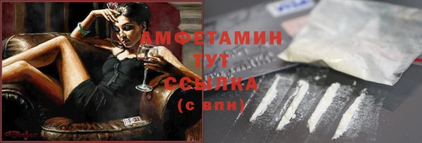 крисы Козловка