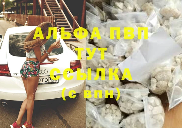 крисы Козловка