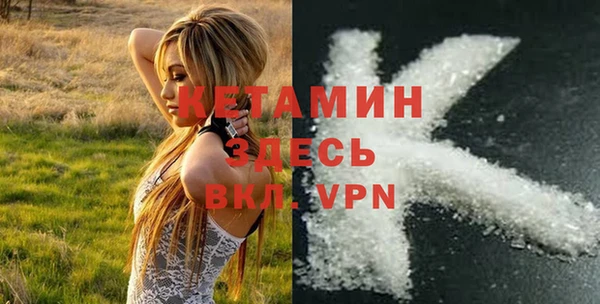 крисы Козловка