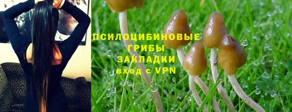 прущий лед Аркадак