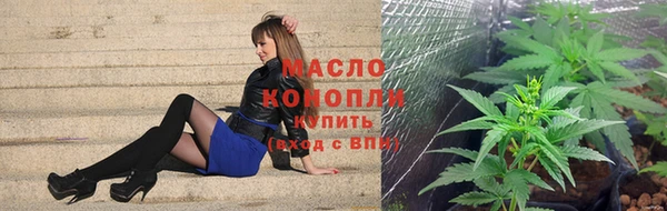 крисы Козловка